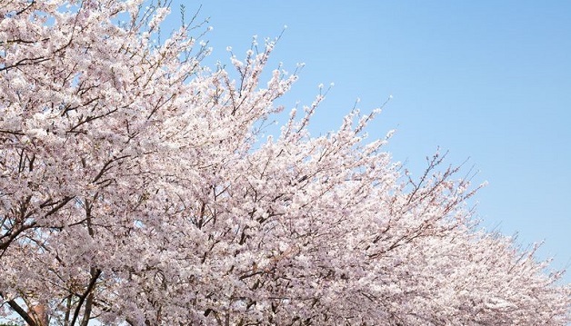 Upcoming green Events im Frühjahr 2018