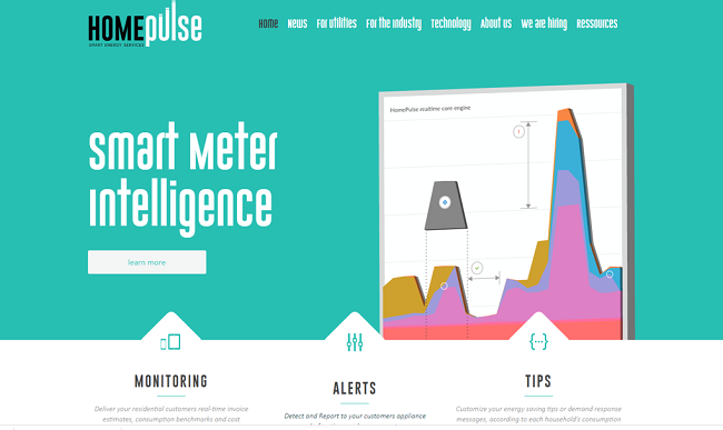 Screenshot Homepulse