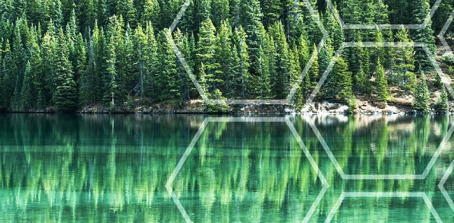 Künstliche Intelligenz zum Schutz von Planet Erde - "AI for Earth" - EarthLab von Microsoft