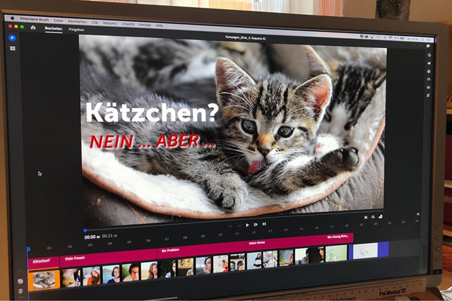 Katzenbild auf Bildschirm beschreibt Service Angebot Video
